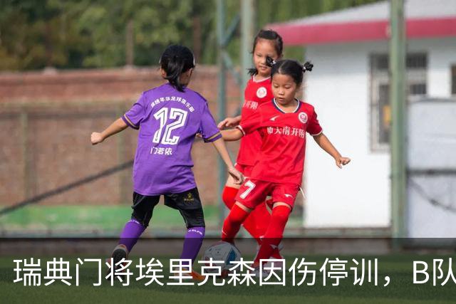 瑞典门将埃里克森因伤停训，B队门将将顶替出战