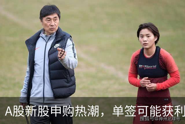 A股新股申购热潮，单签可能获利超28万